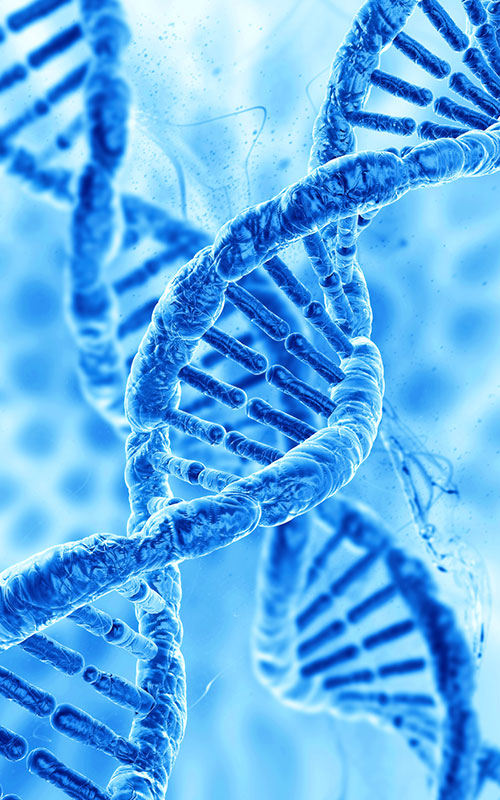 „Anhua Bio“ pristato PDRN produktą: pasaulinės audinių regeneracijos žaliavų tiekimo grandinės atkūrimas naudojant sintetinę biologiją